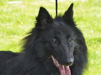 58 Cita Cherie von dem Schatten hinter mir